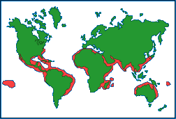 The Hammerhead Shark's habitat Map showing the Hammerhead Shark's habitat